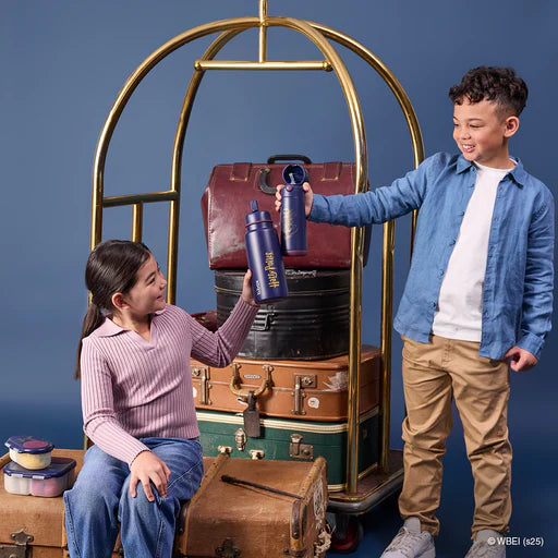 b.box Insulated Flip Top Bottle 1L - Harry Potter