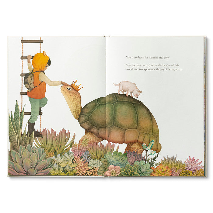 Why Not? -  Kobi Yamada