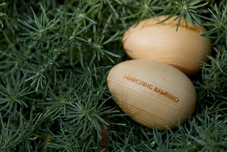 Marching Bambino Egg Shakers