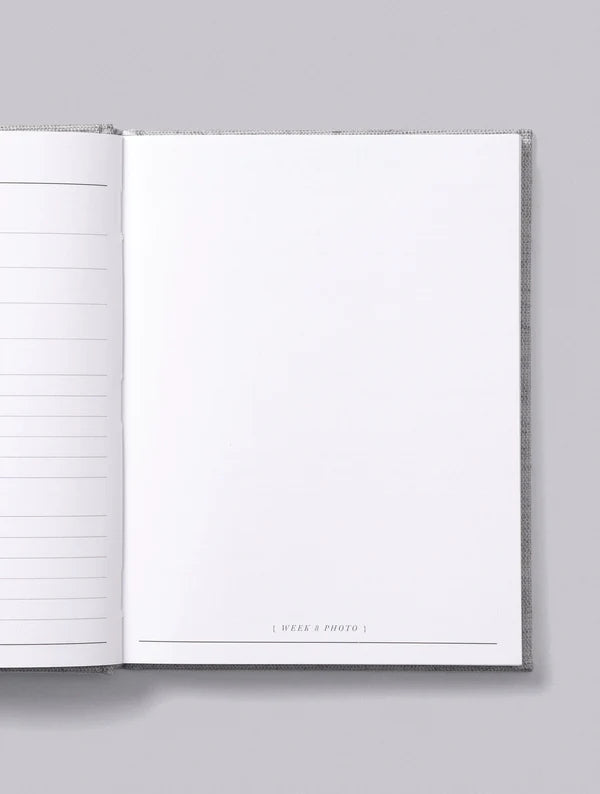 Bump. A Pregnancy Story