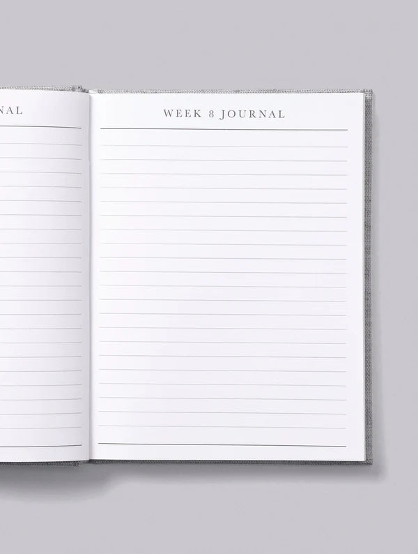 Bump. A Pregnancy Story