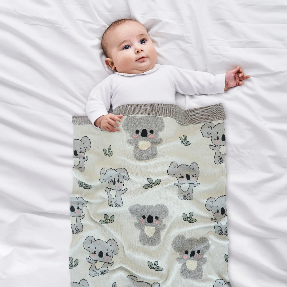 Di Lusso Living Koala Hugs Blanket