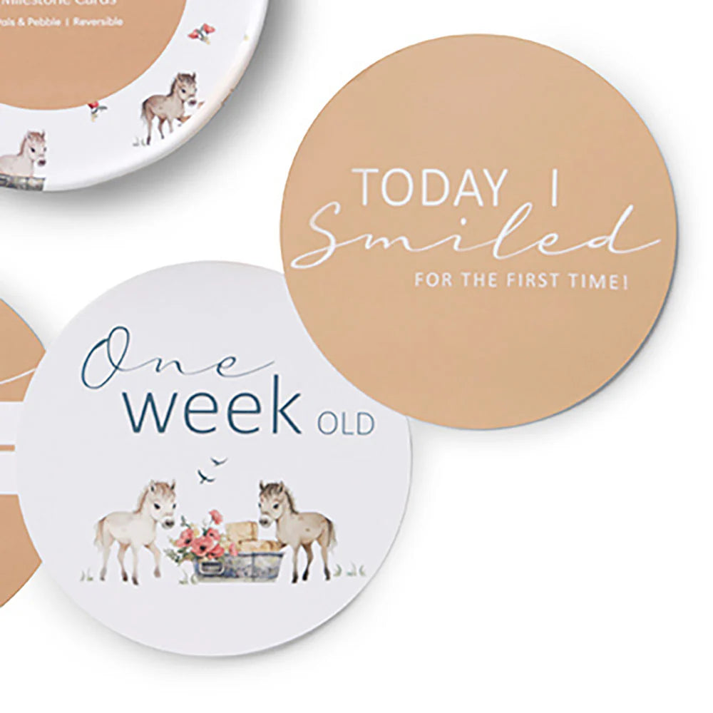 Snuggle Hunny Milestone Cards - Pony Pals