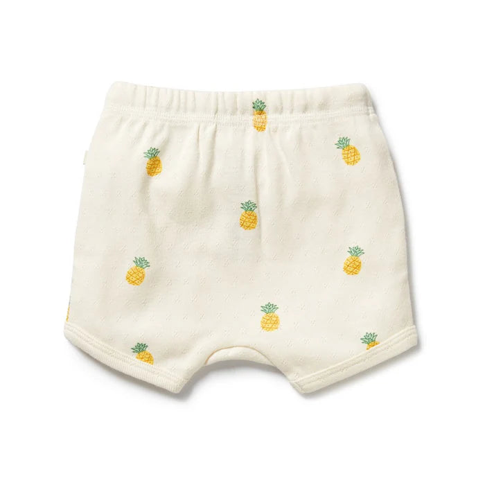 Wilson + Frenchy  Piney Pals Organic Pointelle Short