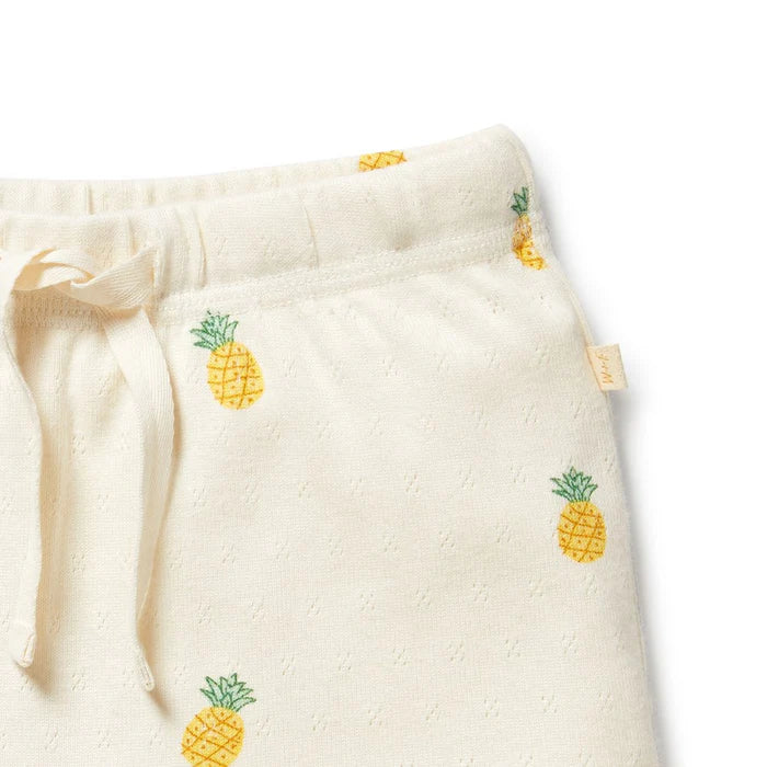 Wilson + Frenchy  Piney Pals Organic Pointelle Short