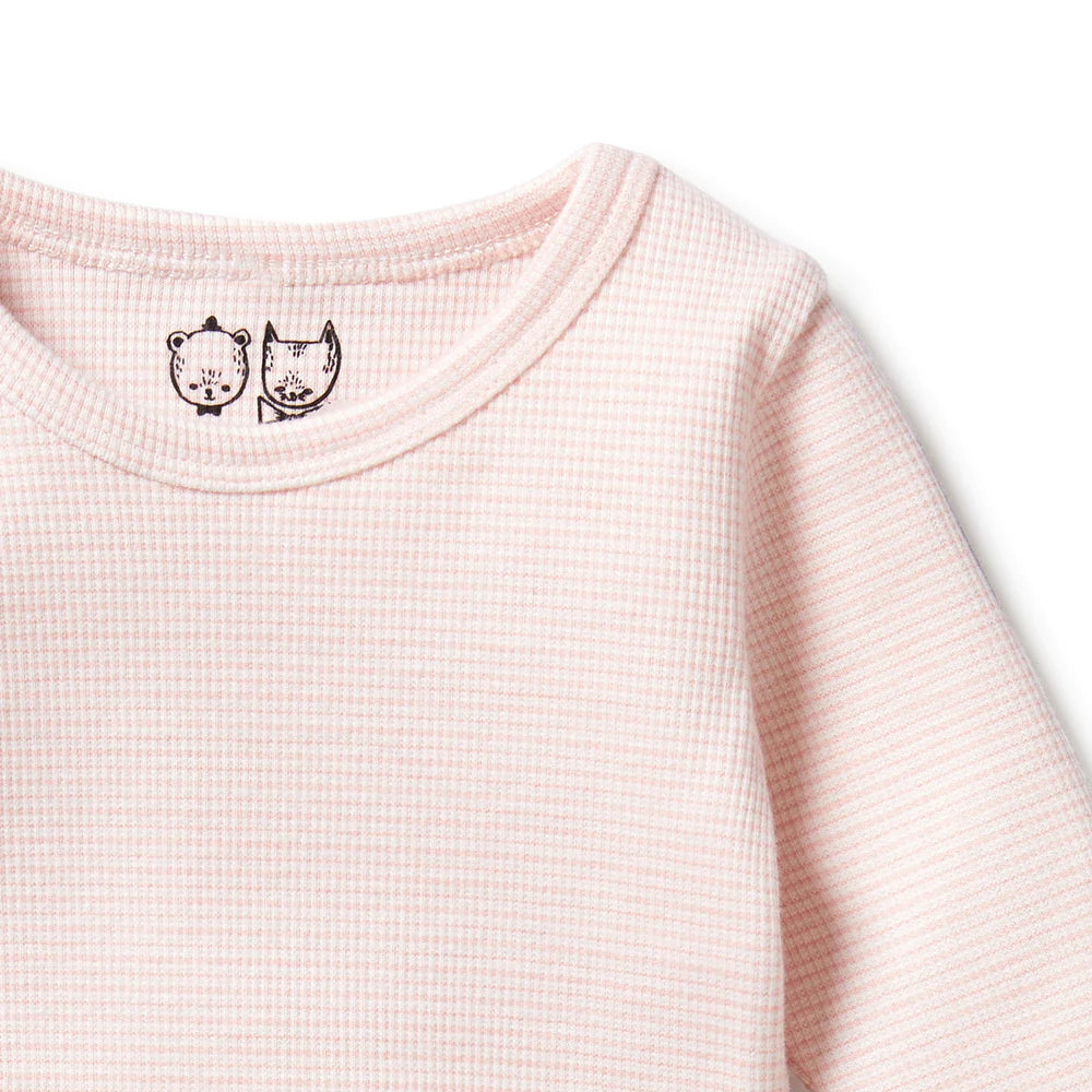 Wilson + Frenchie Organic Stripe Rib Long Sleeve Top - Cantaloupe