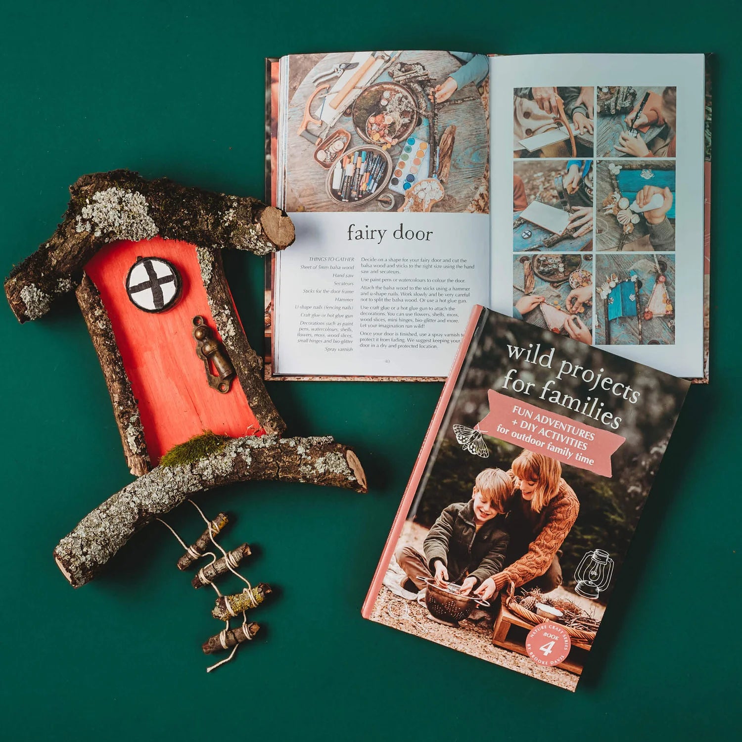 Your Wild - Wild Projects for Families Book