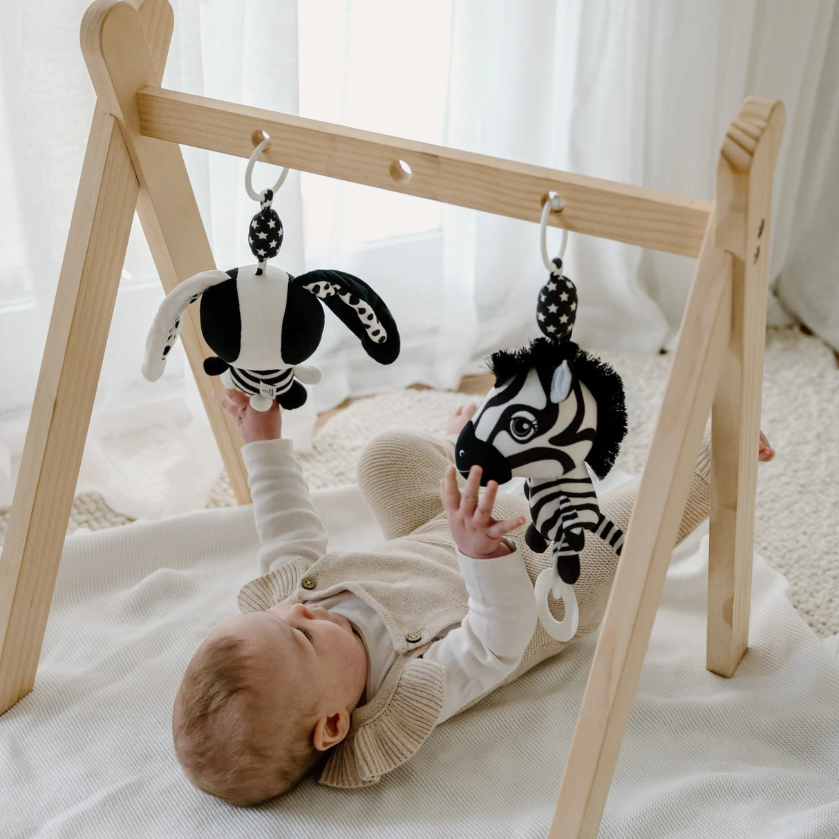 Young Wonderer High Contrast Hanging Pram Toy - Ziggy the Zebra