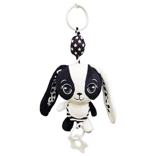 Young Wonderer Hello Little One! High Contrast Sensory Gift Set
