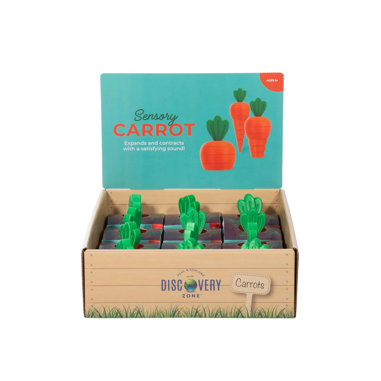Discovery Zone Sensory Carrot