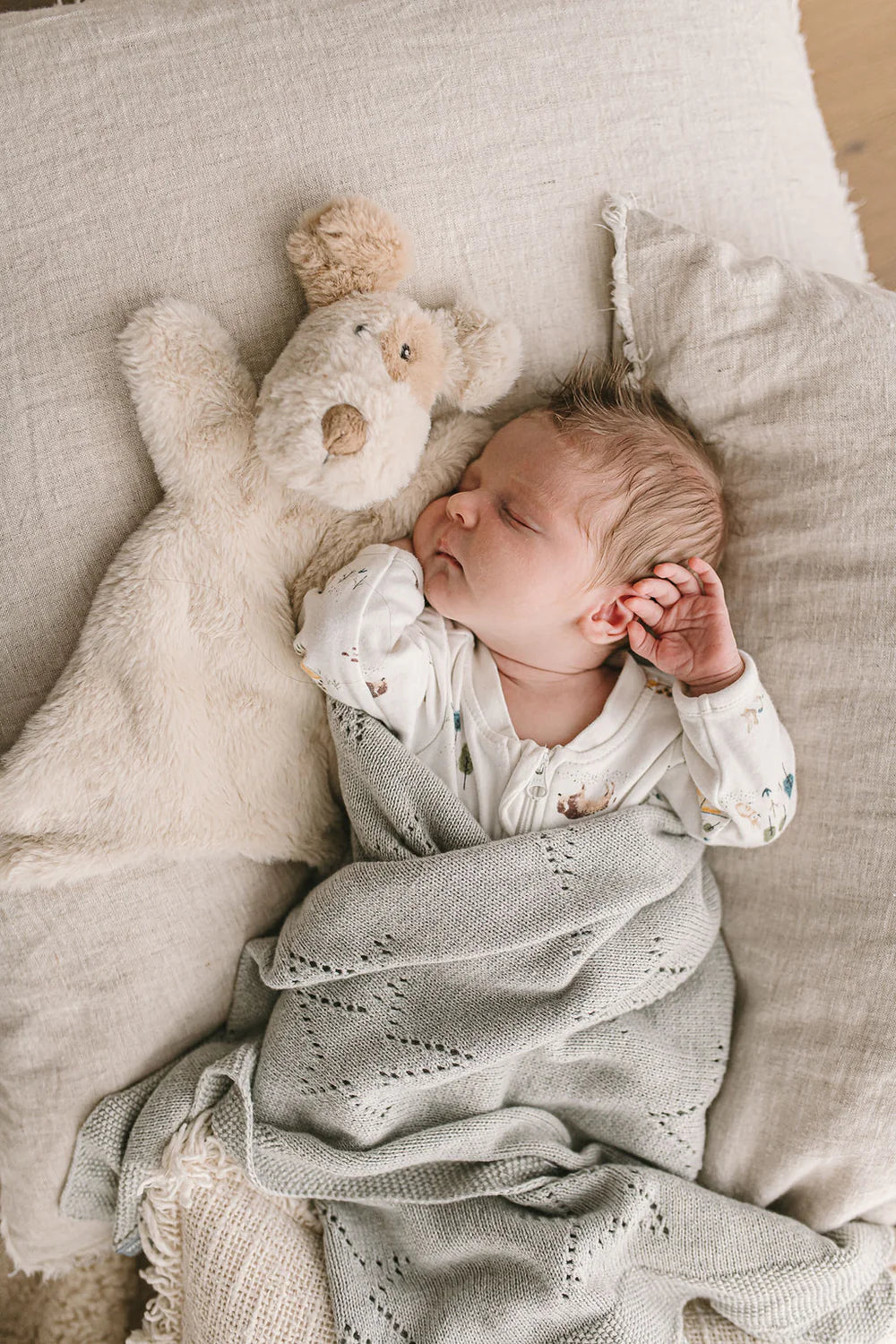 Nana Huchy Hoochy Coochie - Buddy The Dog