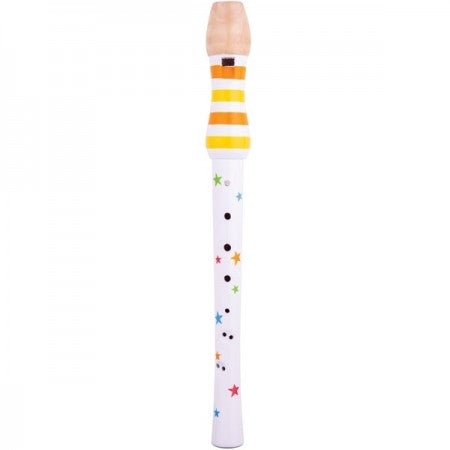 Bigjigs Recorder