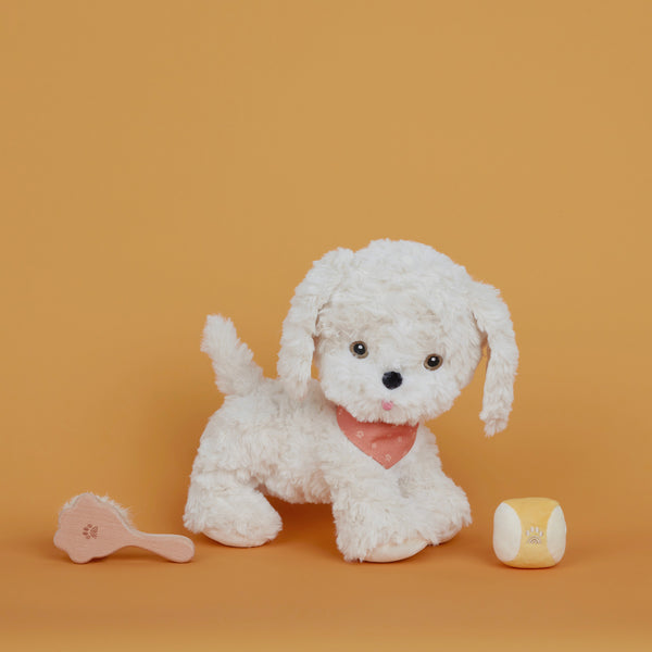 Olliella Dinkum Dog Starter Set