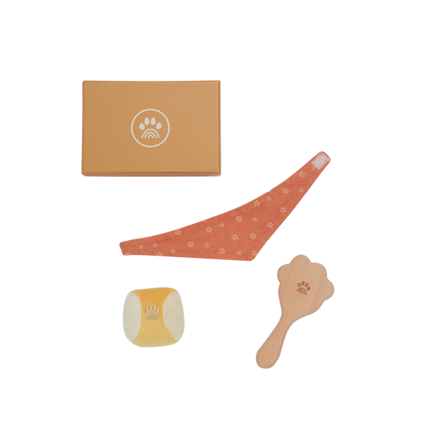 Olliella Dinkum Dog Starter Set