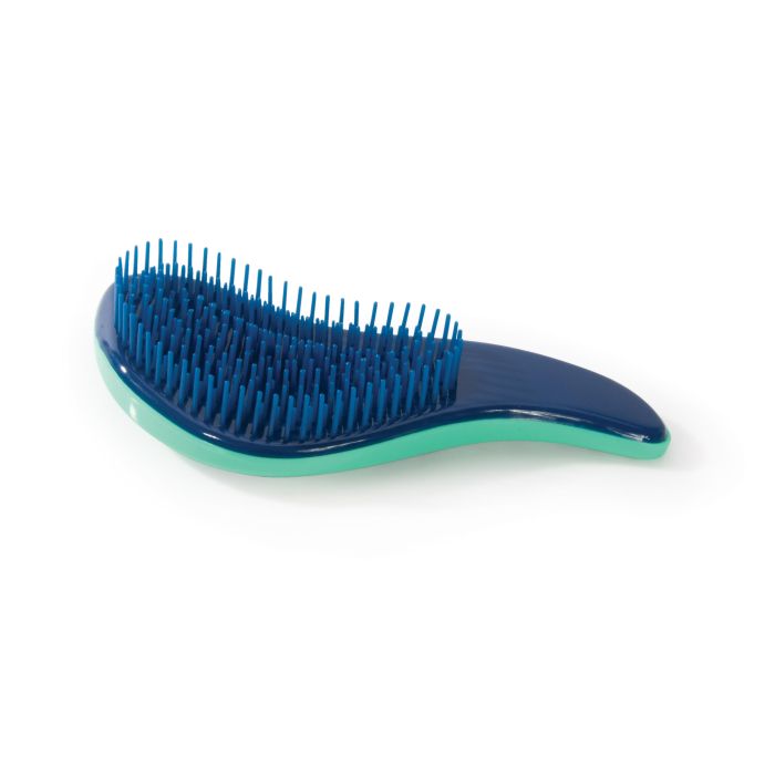 isGift Dinosaur Hair Brush