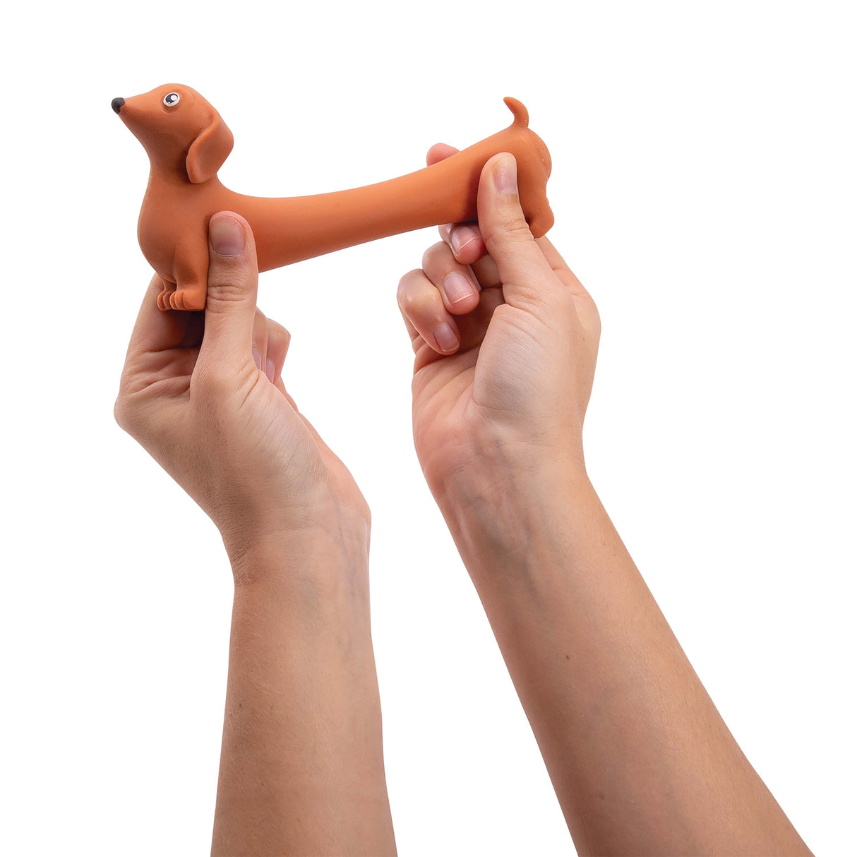 isGift Stretchy Sausage Dog
