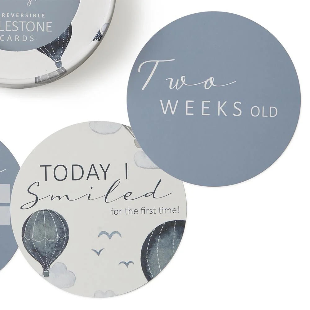 Snuggle Hunny Milestone Cards - Cloud Chaser & Indigo