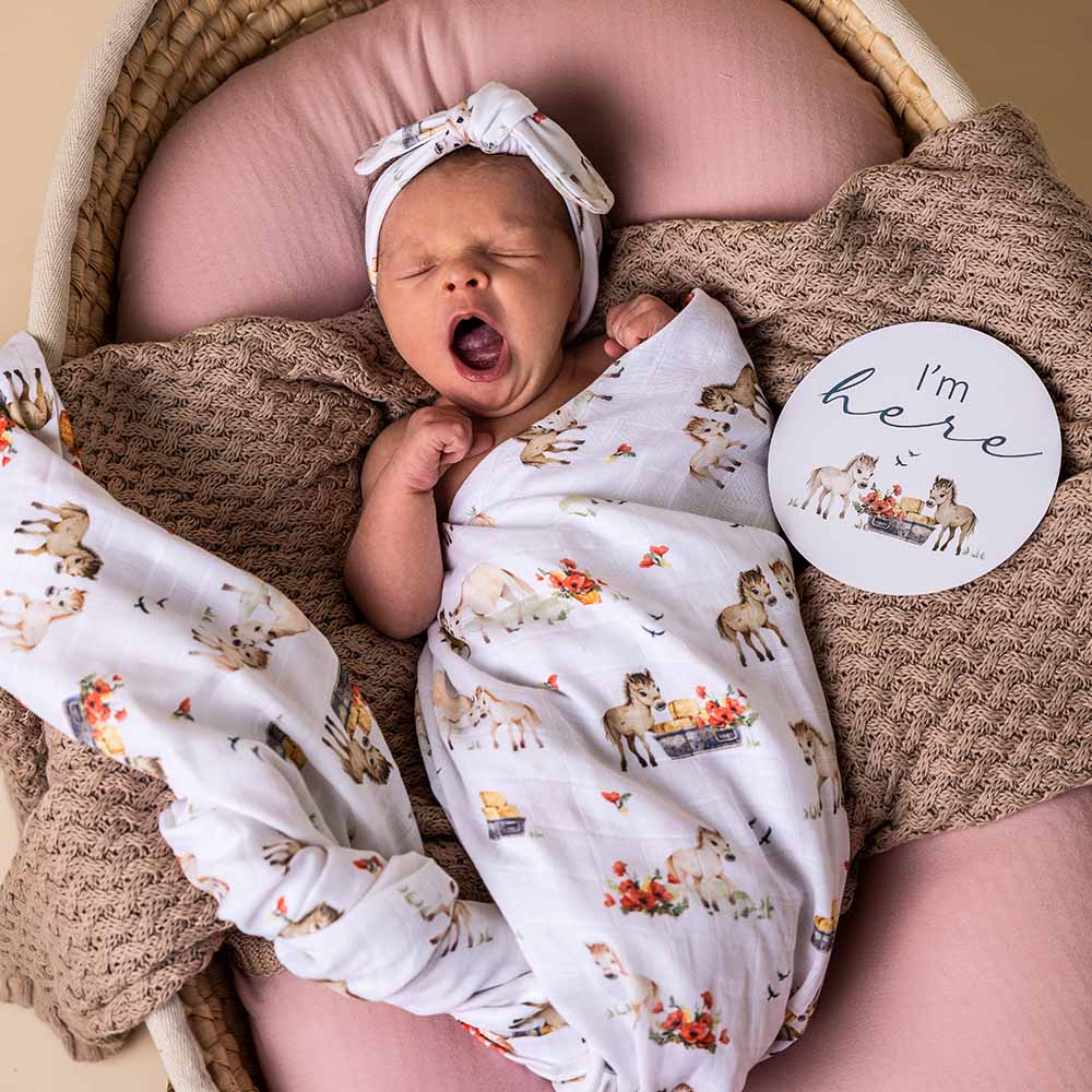 Snuggle Hunny Milestone Cards - Pony Pals