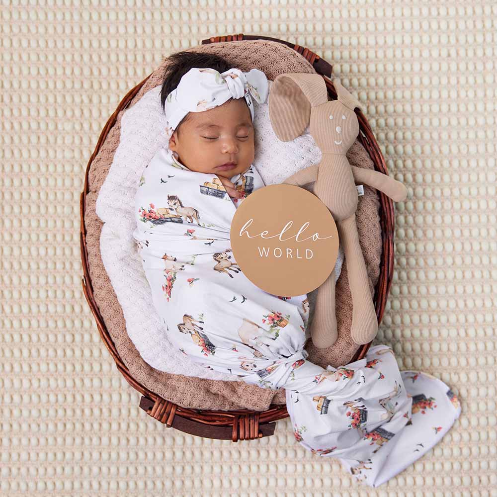 Snuggle Hunny Milestone Cards - Pony Pals