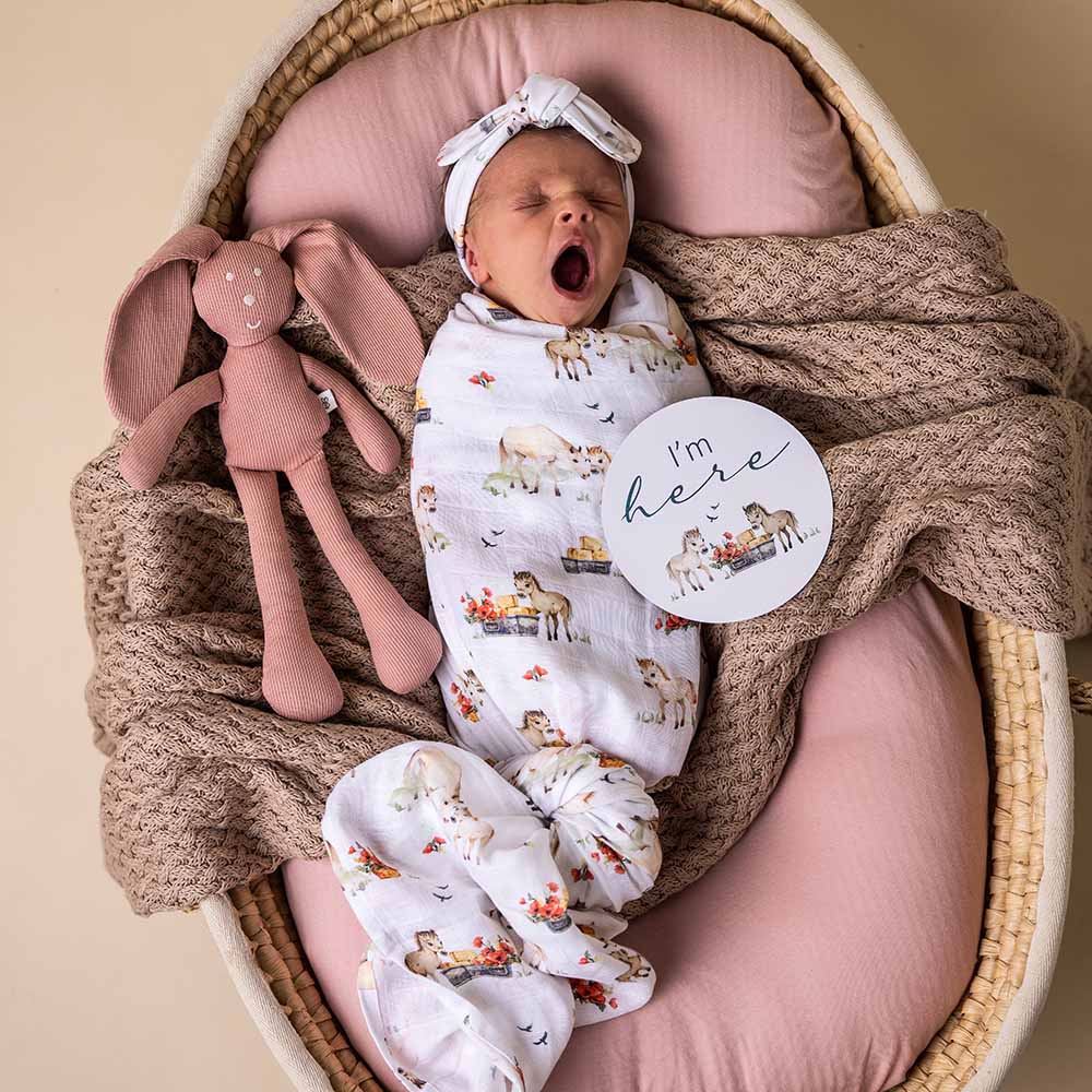 Snuggle Hunny Milestone Cards - Pony Pals