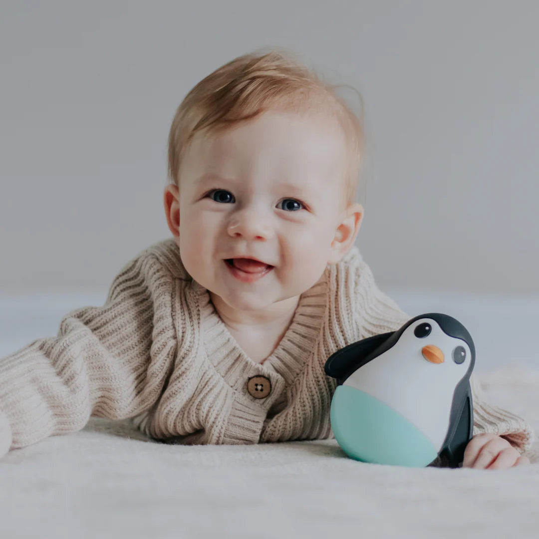 Jellystone Penguin Wobble