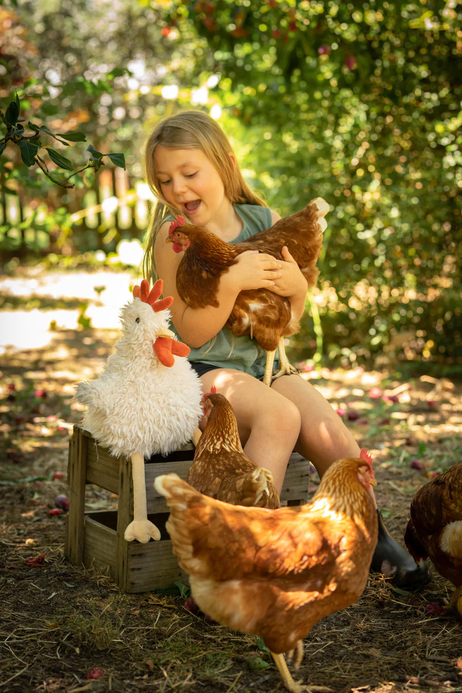 Nana Huchy Roy the Rooster