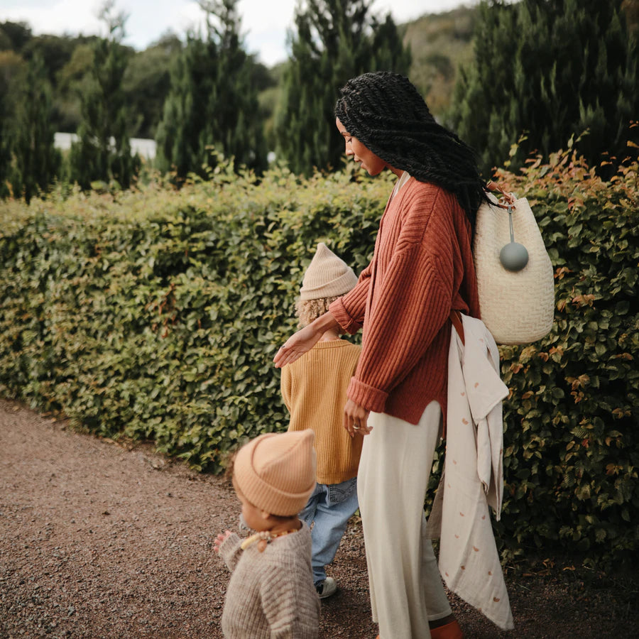 Mushie Pacifier Case - Cambridge Blue | Raspberry Lane Boutique