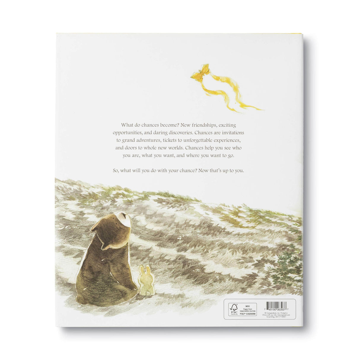 Raspberry Lane Boutique What Do You Do With A Chance? - Kobi Yamada