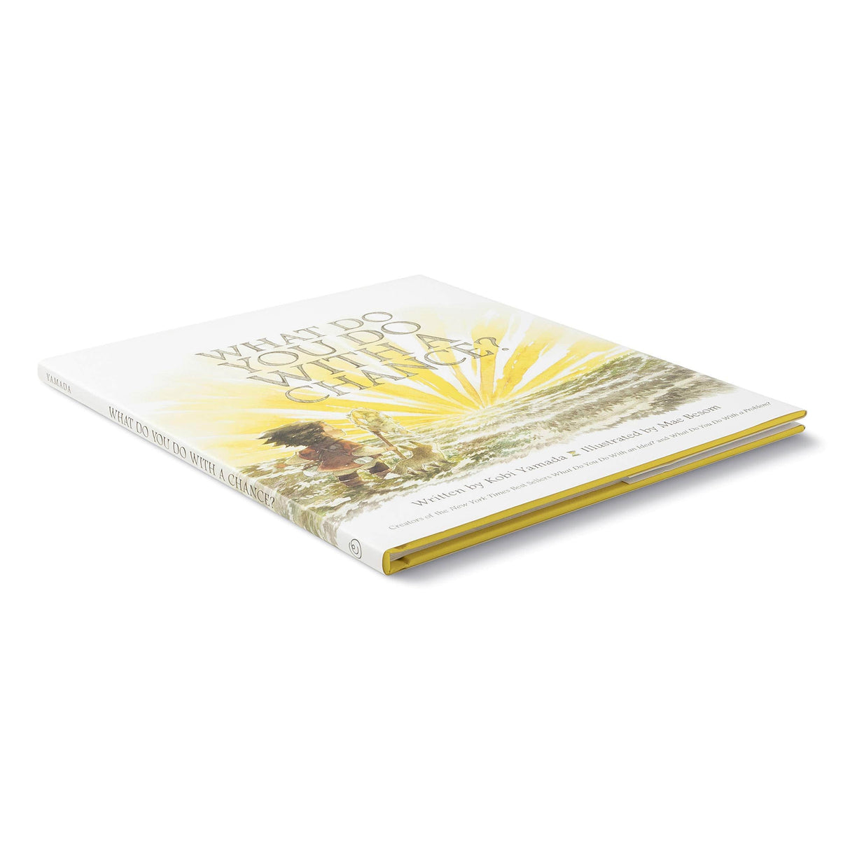 Raspberry Lane Boutique What Do You Do With A Chance? - Kobi Yamada