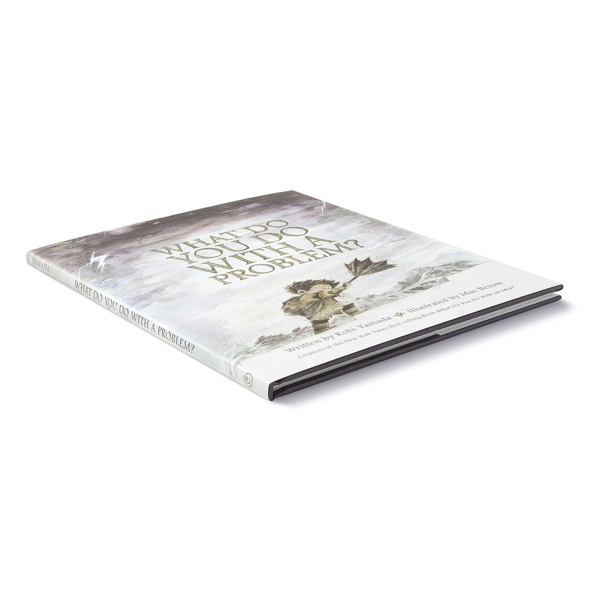 Raspberry Lane Boutique What Do You Do With A Problem? - Kobi Yamada