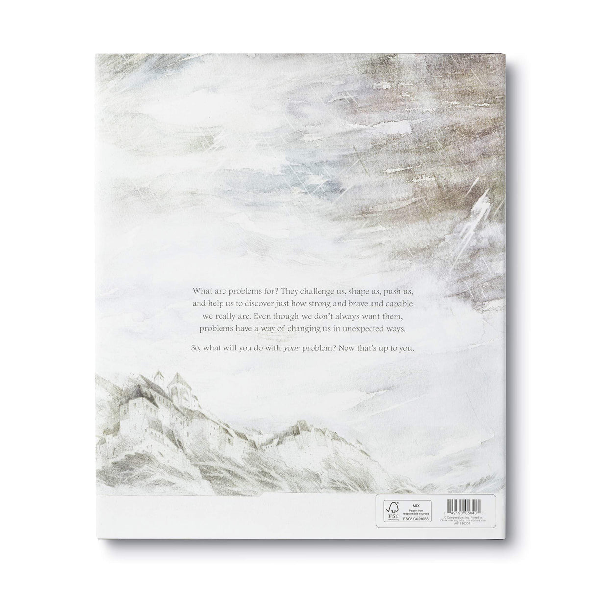 Raspberry Lane Boutique What Do You Do With A Problem? - Kobi Yamada