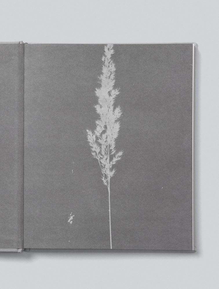 Raspberry Lane Boutique Write To Me - Mama. Tell Me About It - Book