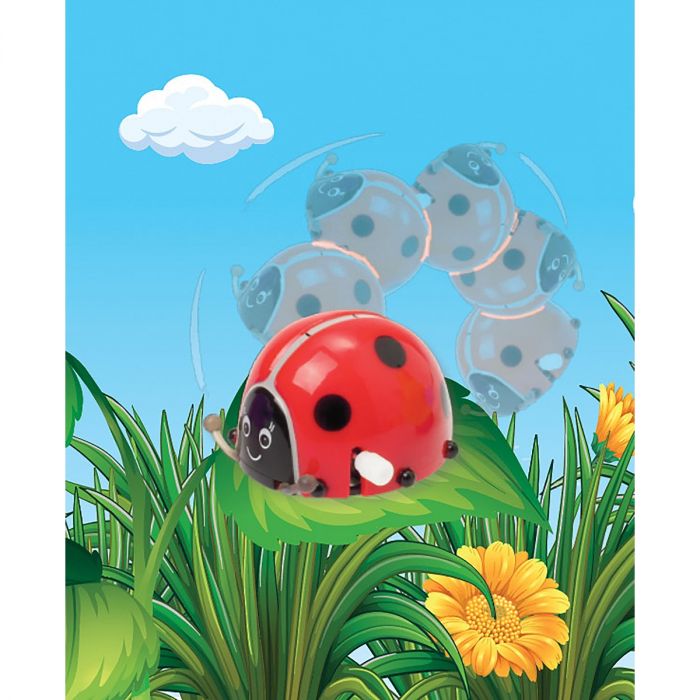Wind-Up Flippin Ladybug