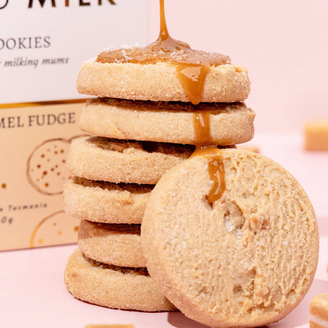 Made To Milk Lactation Cookies - Salted Caramel Fudge