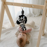 Young Wonderer High Contrast Hanging Pram Toy - Ziggy the Zebra