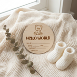 Timber Tinkers Hello world Teddy Bear