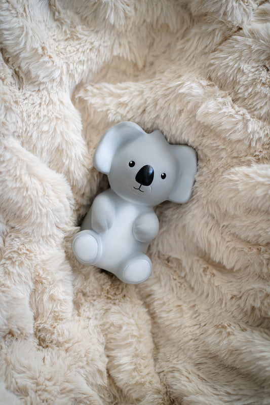 Tikiri Koala Teether/Bath Toy