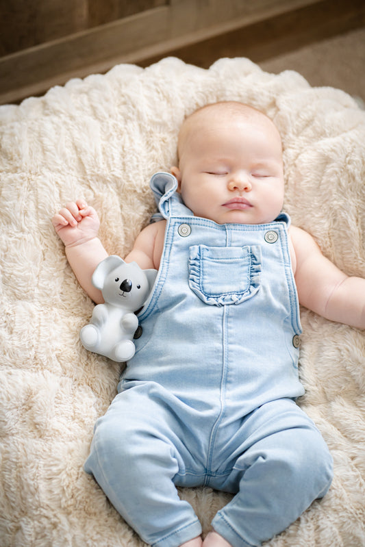 Tikiri Koala Teether/Bath Toy