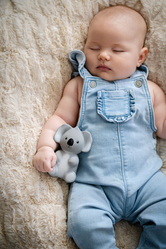 Tikiri Koala Teether/Bath Toy