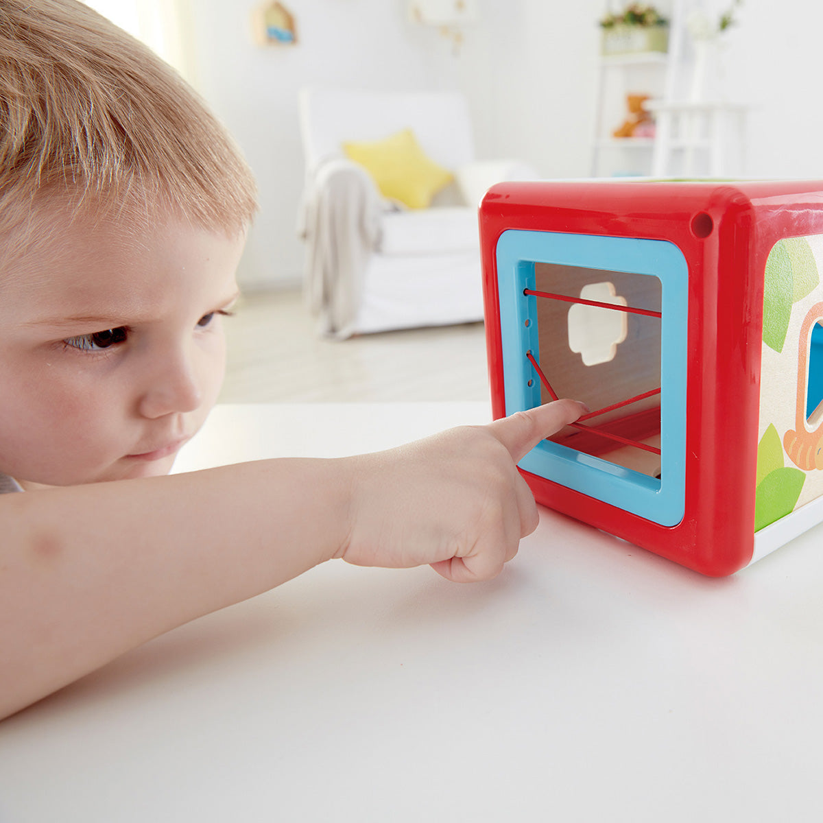 Hape - Shape Sorting Box