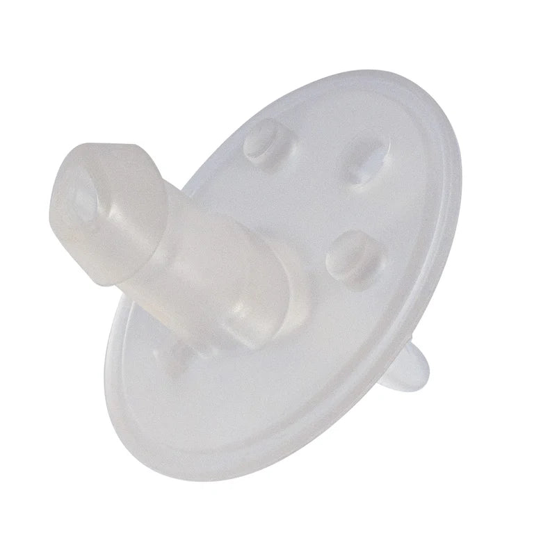 b.box 500ml Insulated Sport Spout Bottle Replacement Spout - 2 Pack