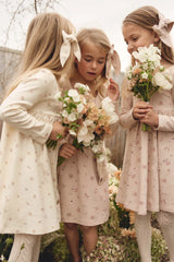 Jamie Kay Poppy Dress - Meredith Egret
