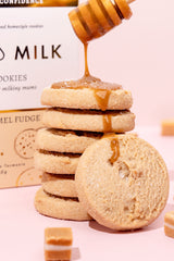 Made To Milk Lactation Cookies - Salted Caramel Fudge