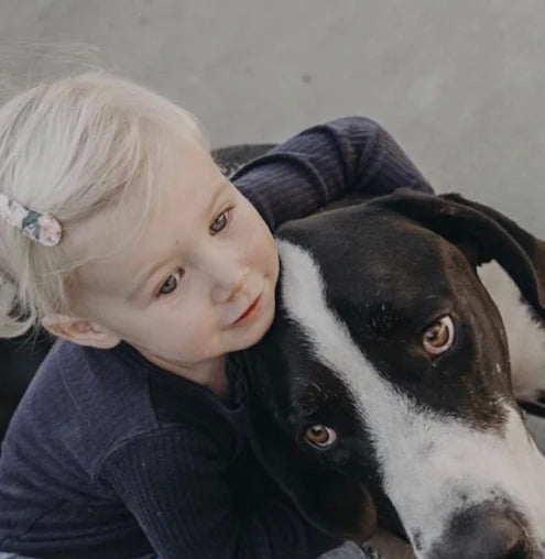 Josie Joan's Hair Clips - Little Lara