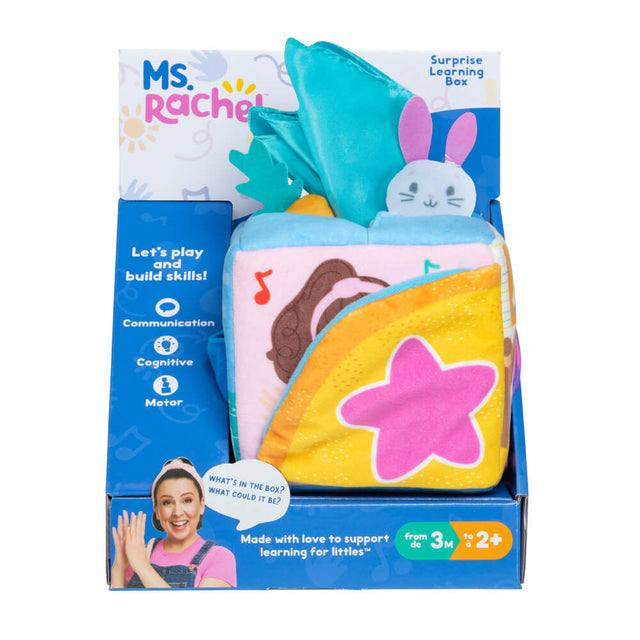 Rachel's Raspberry Multi Ms Rachel Surprise Learning Box | Raspberry Lane – Raspberry Lane Boutique