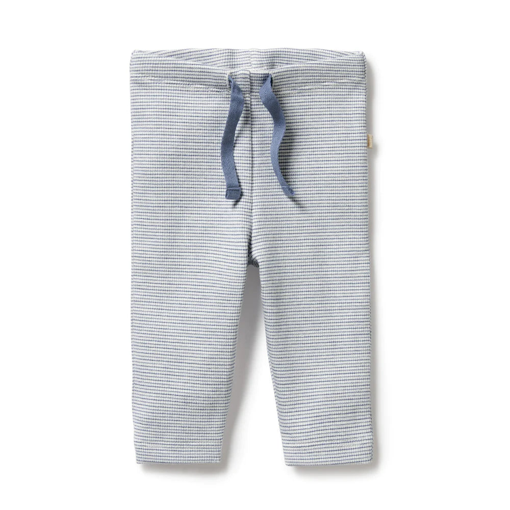 Wilson + Frenchy Organic Stripe Rib Legging - Rain Drop
