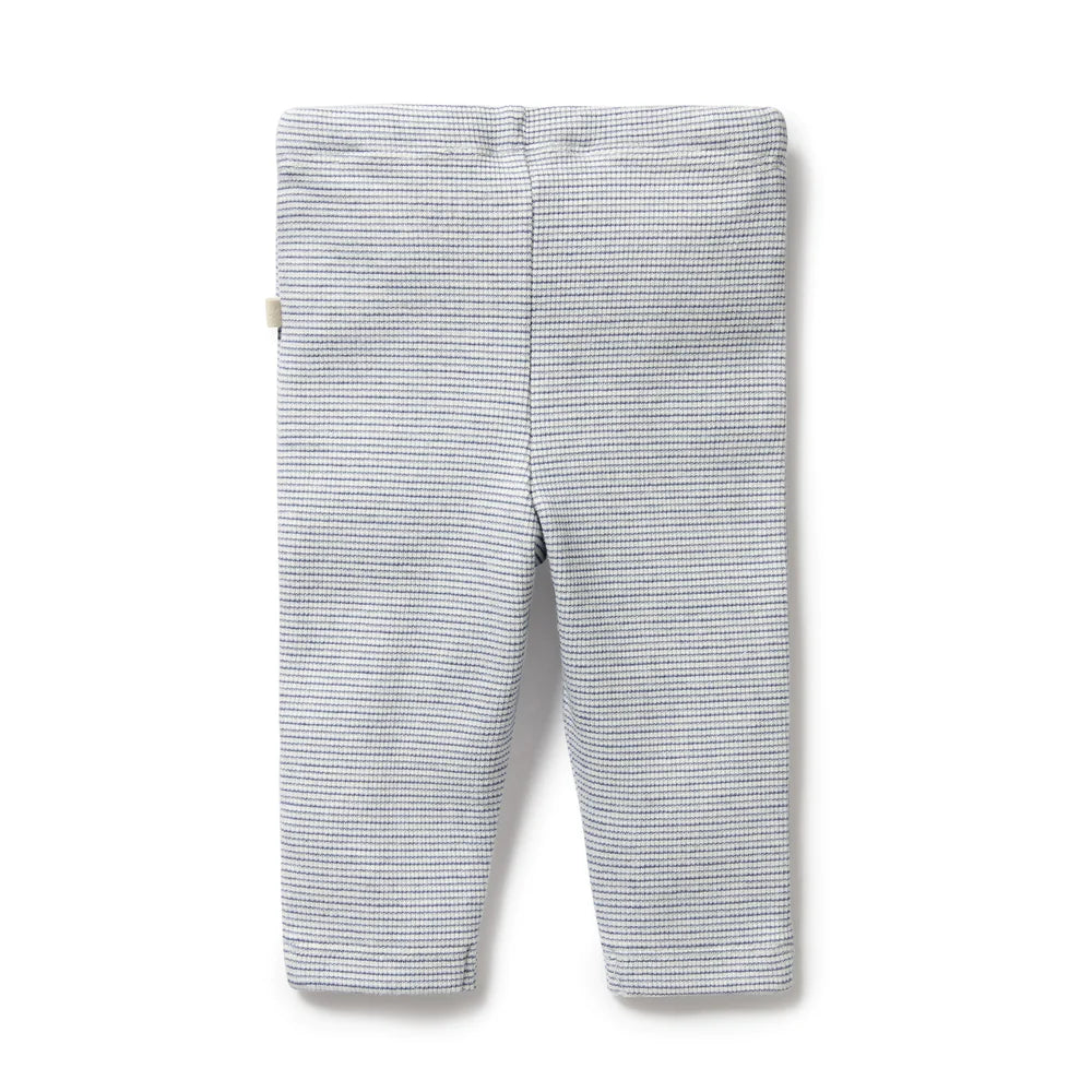 Wilson + Frenchy Organic Stripe Rib Legging - Rain Drop