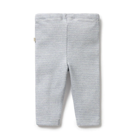 Wilson + Frenchy Organic Stripe Rib Legging - Rain Drop