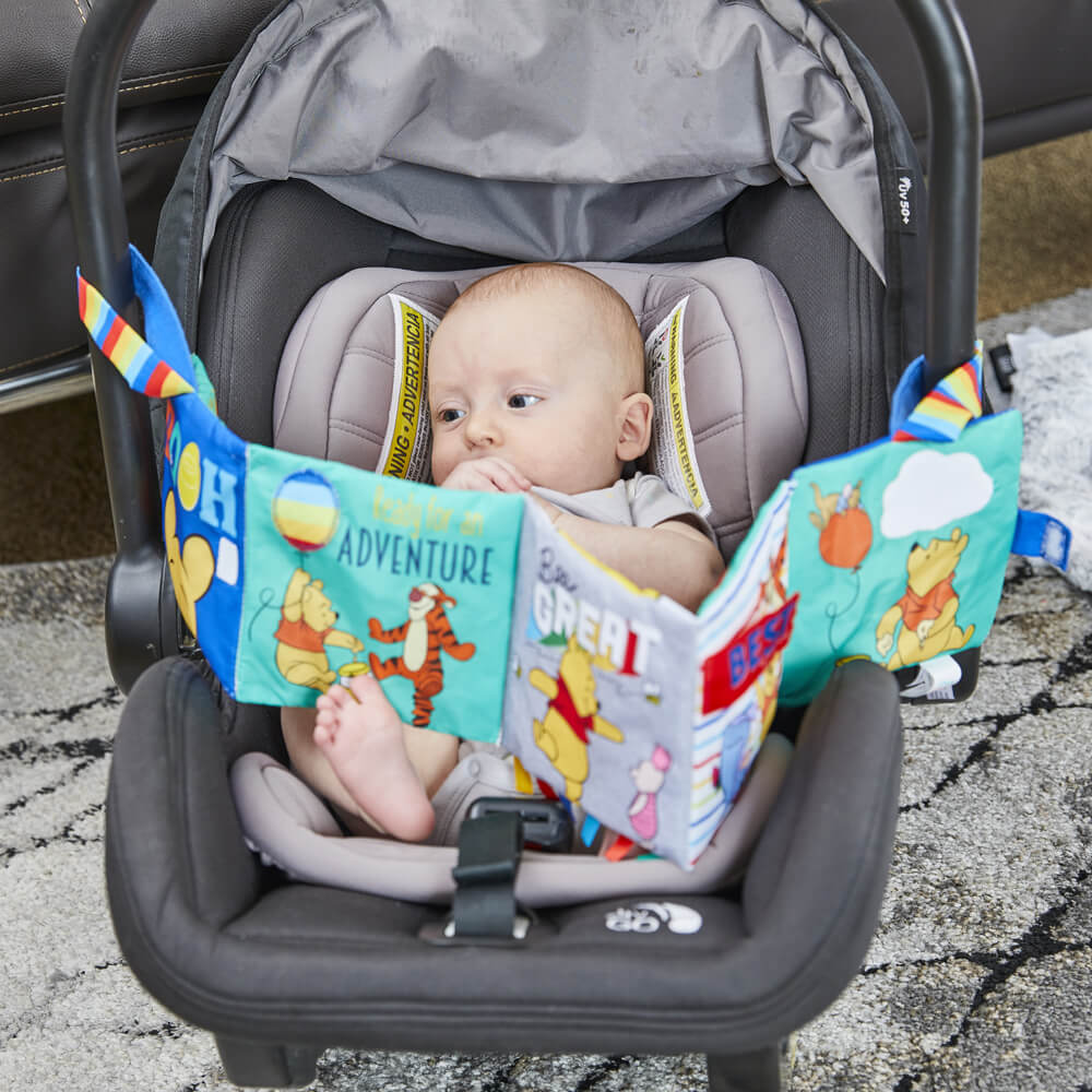 Winnie The Pooh Accordian Soft Book