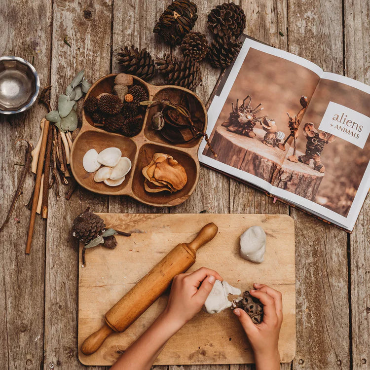 Your Wild - Wild Imagination Book